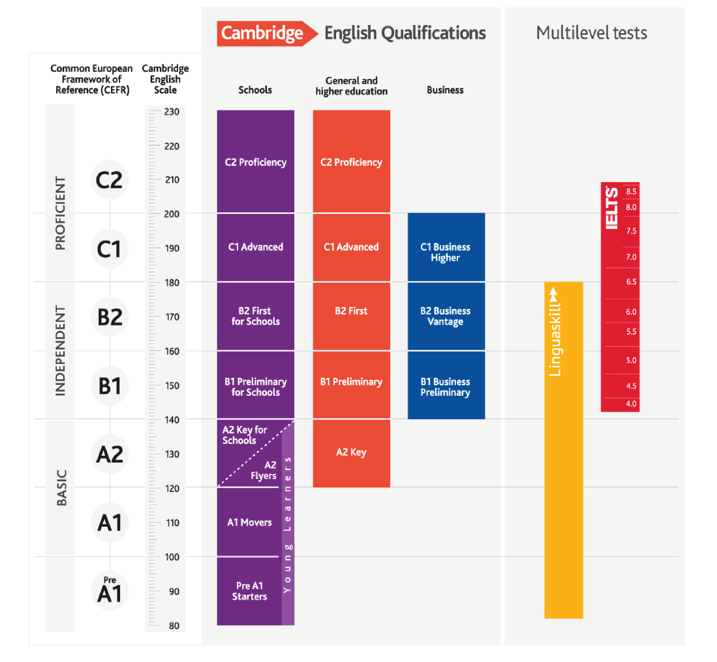 Cambridge examination pathway overview